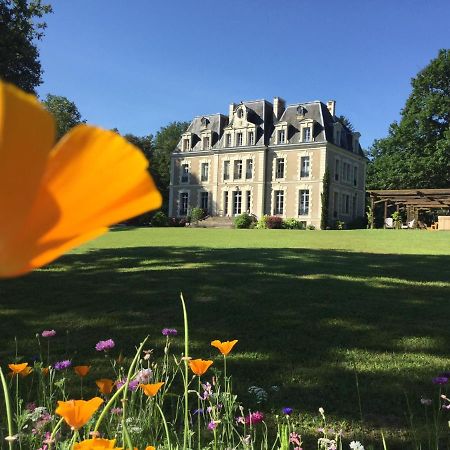 Château des Essards avec piscine et jacuzzi Langeais Extérieur photo