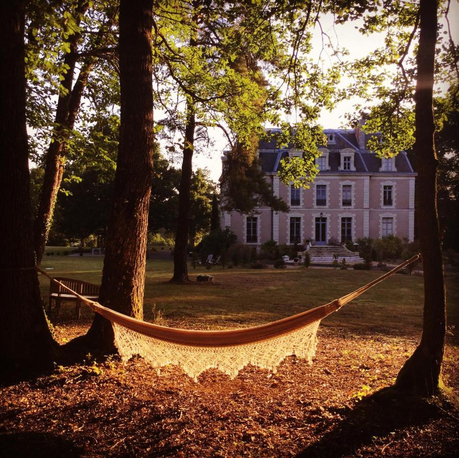 Château des Essards avec piscine et jacuzzi Langeais Extérieur photo