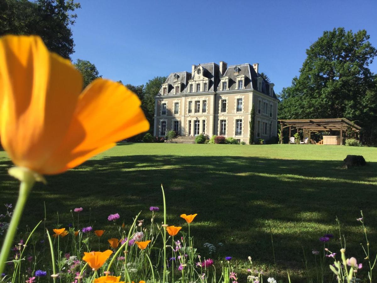Château des Essards avec piscine et jacuzzi Langeais Extérieur photo